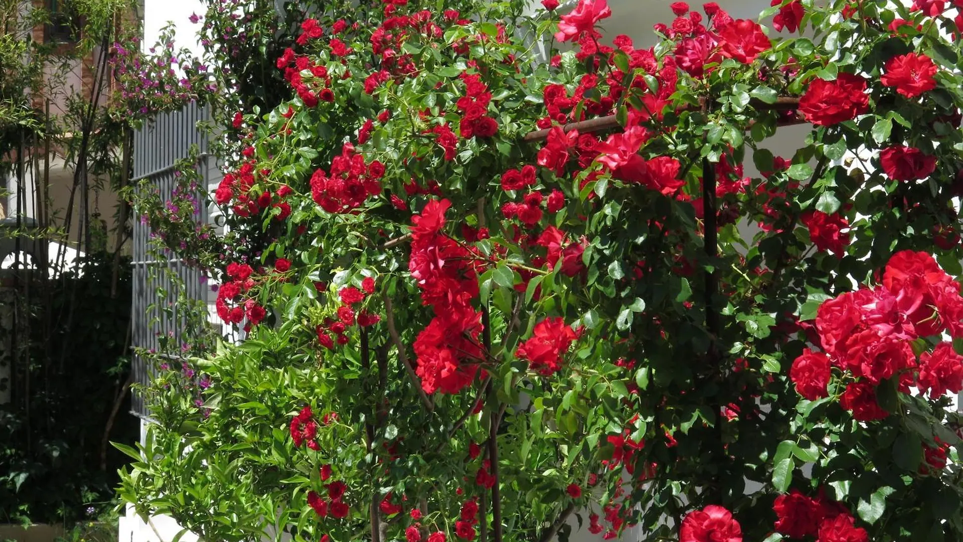 Casa Centrica Con Bonito Jardin Con 3 Dormitorios Aracena 0*,  Spain