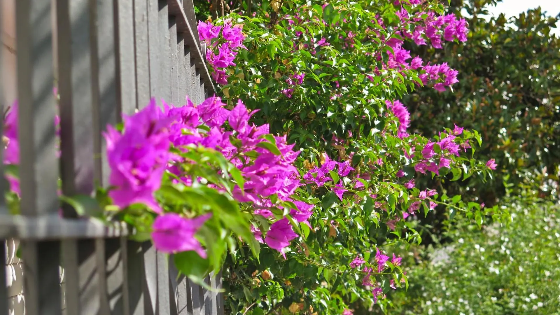 Hébergement de vacances Casa Centrica Con Bonito Jardin Con 3 Dormitorios Aracena