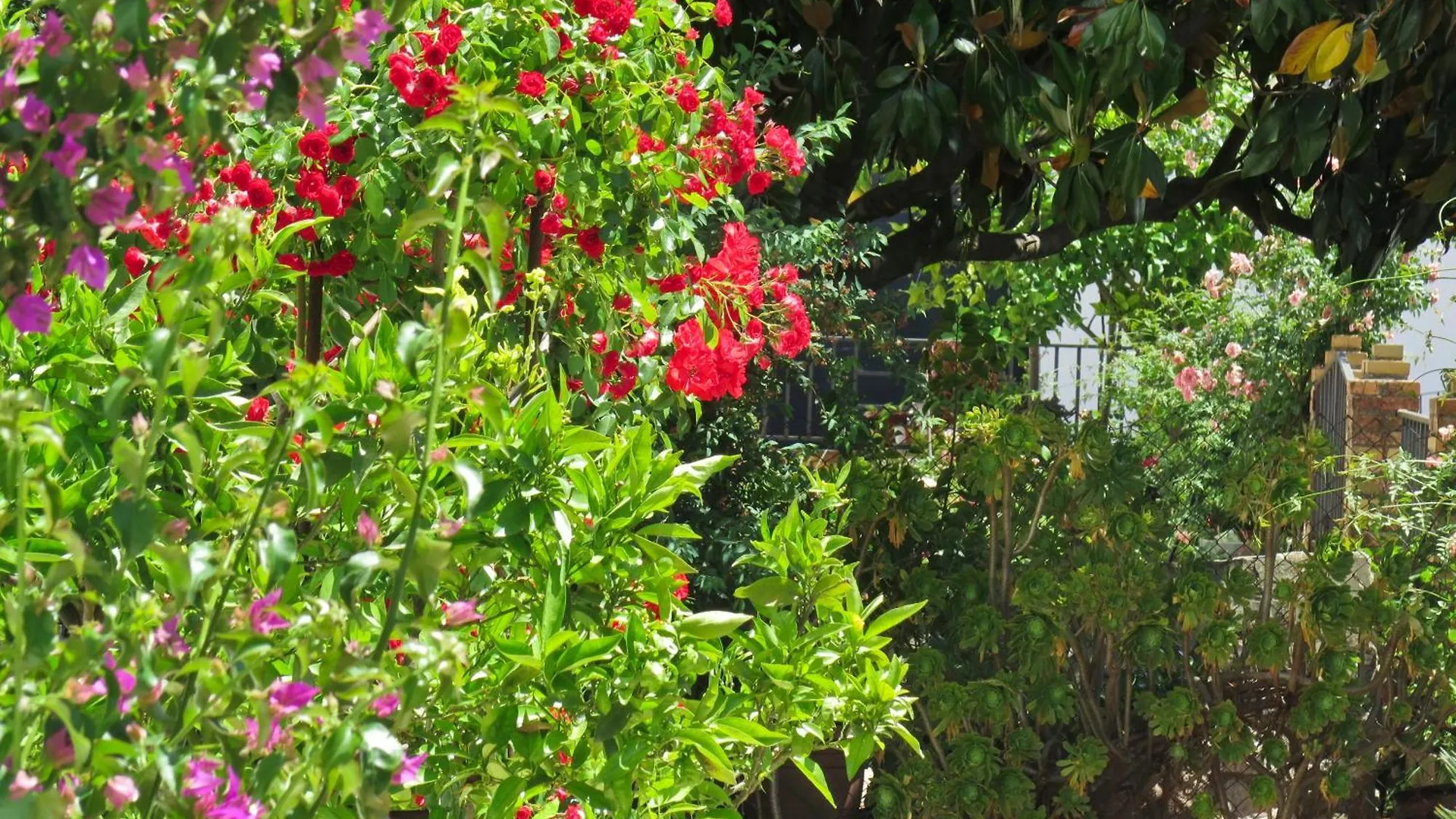 Casa Centrica Con Bonito Jardin Con 3 Dormitorios Aracena